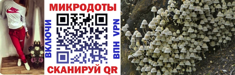дарк нет официальный сайт Чёрмоз Галлюциногенные грибы Cubensis мега как зайти